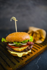 Tasty street food grilled beef burger in crispy shortbread with lettuce and mayonnaise served with french fries. Space for text.