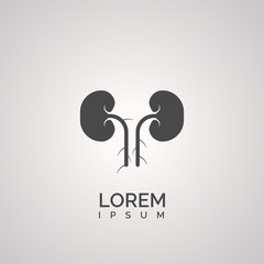Kidney sign. icon design