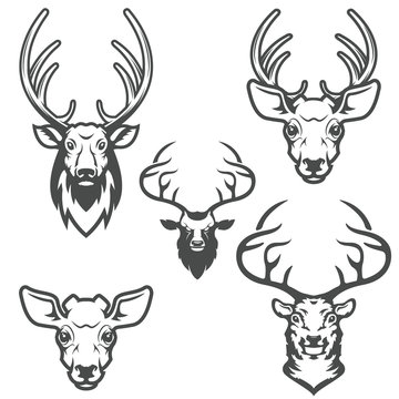 set of deer heads isolated on white background. Design elements