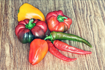 Different kinds of sweet and hot chili peppers on grunge background.