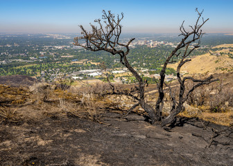 Scorched ground from a fire and city of Boise Idaho