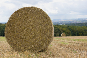 Yellow bales of hay on a harvested field, sky with white clouds. Beautiful landscape wheat field after harvest. 