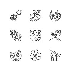 Fototapeta na wymiar Line icons. Leaves. Flat symbols