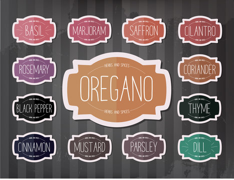large collection of different spices and herbs with labels