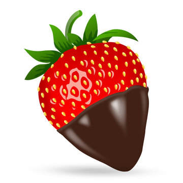 Chocolate dipped strawberry. Photo realistic. Vector illustration, clip-art, isolated on white background