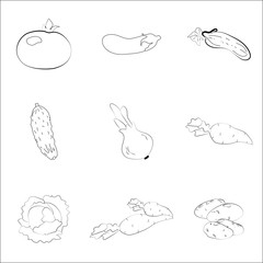 set pattern with vegetables on the background, natural food, stock vector. Modern stylish abstract texture. Template for prints, textile, wrapping and decoration, wallpaper. Vector illustration