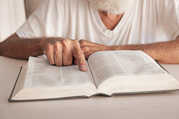 Naklejka premium Old man reading the Bible
