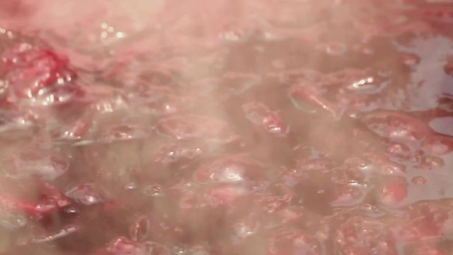 Plum jam cooking - ripen plums boiling in large pot; close-up; 