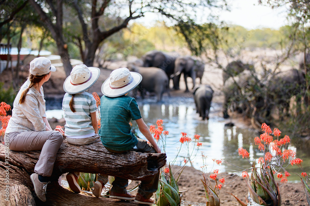 Wall mural family safari