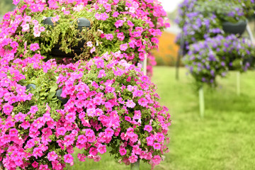 Beautiful arches made of flowerbeds