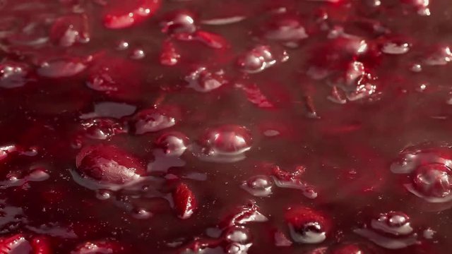 Plum jam cooking - ripen plums boiling in large pot; close-up; 