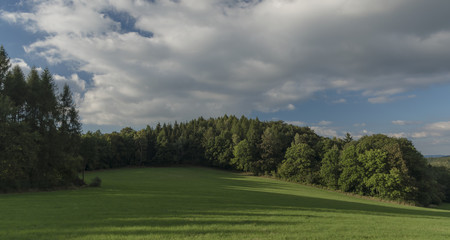 Meadow and forest near Oelsen village