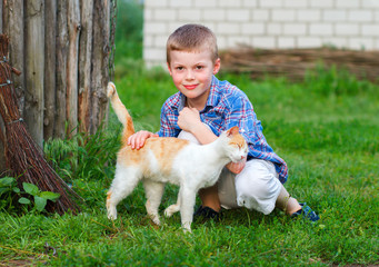 Red cat tenderly rubs against the hand of a little boy