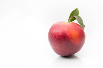 A nectarine on a white background
