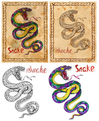 Fototapeta premium Vintage card with illustration of graphic zodiac animal symbol - snake