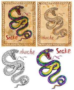Vintage card with illustration of graphic zodiac animal symbol - snake