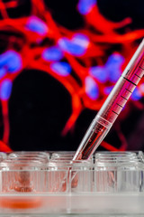 A 24 well tissue culture plate with a fluorescent cell image in the background