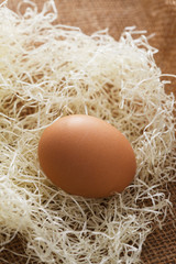 鳥の巣イメージ