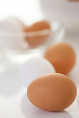 器に入った卵