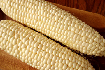  白いトウモロコシ