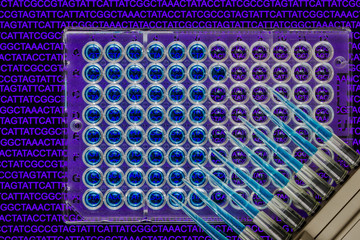 A 96-well plate with samples with a nucleic acid sequence background