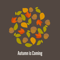 Autumn leaves fall on background vector illustration.
