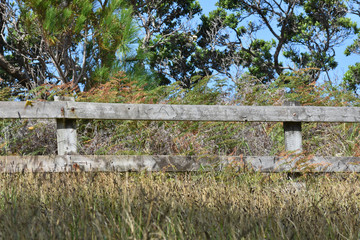 Sun bleached wooden fence in tall grass with some bushes and trees behind.