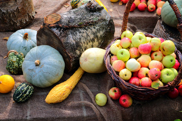 Autumn crop concept - apples, pumpkins, squash, log - organic products