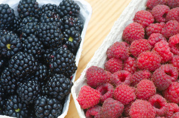 fresh raspbeeries and blackberries macro