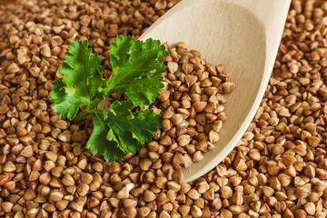 Buckwheat is on the plate with  wooden spoon