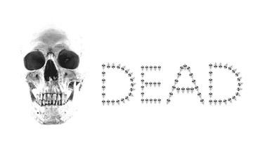 Day of the dead Halloween party skull,Skull of dead party(have clipping path)