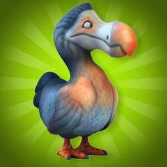 Dodo © Julien Tromeur