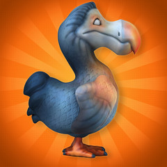 Dodo © Julien Tromeur
