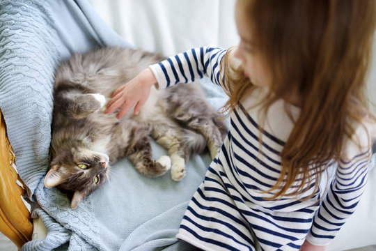 Little girl stroking her pet cat at home