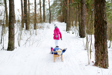 Fototapeta na wymiar Two adorable little sisters enjoying sleight ride on winter day