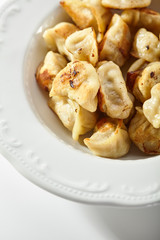 Fried Pork Dumplings