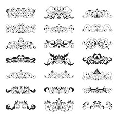 Floral decorative design element collection vintage style. Dividers set.