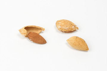 Fototapeta na wymiar Almond nut in shell