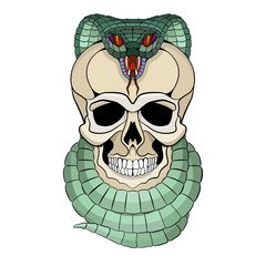 human skull entwined snake vector illustration  front side