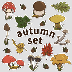 Autumn set with leaves and mushrooms