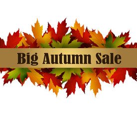 autumn special sale poster isolated