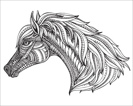 Hand drawn head of horse in graphic ornate style