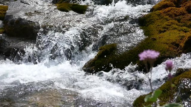 engstligenalp, adelboden, schweiz 