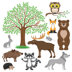 Naklejka premium Forest animals. 