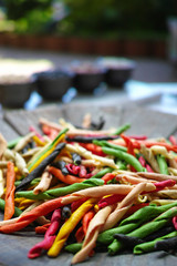 Traditional colorful Italian dried homemade pasta fusilli with e