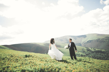 Young newly wed couple, bride and groom kissing, hugging on perfect view of mountains, blue sky