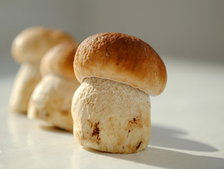 Three boletus mushrooms on white background