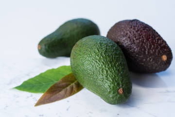 Green ripe avocado