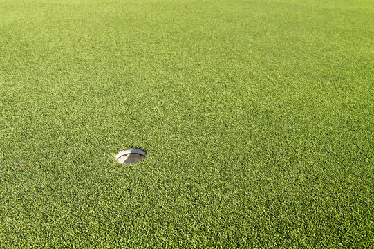 hole on green in golf course