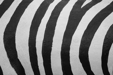 Striped black and white.